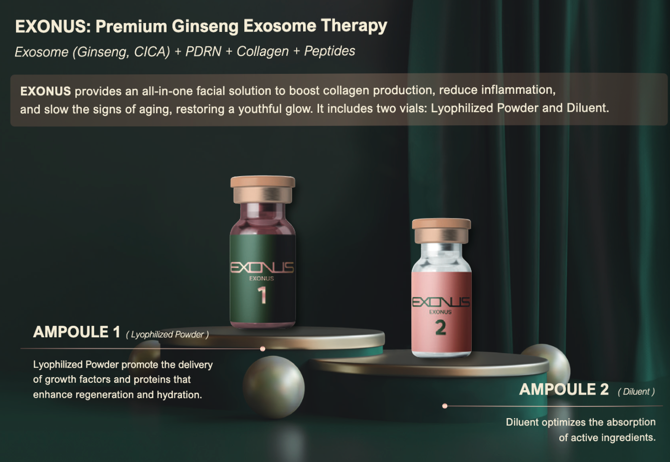 Exonus Exosomes (1 Set)