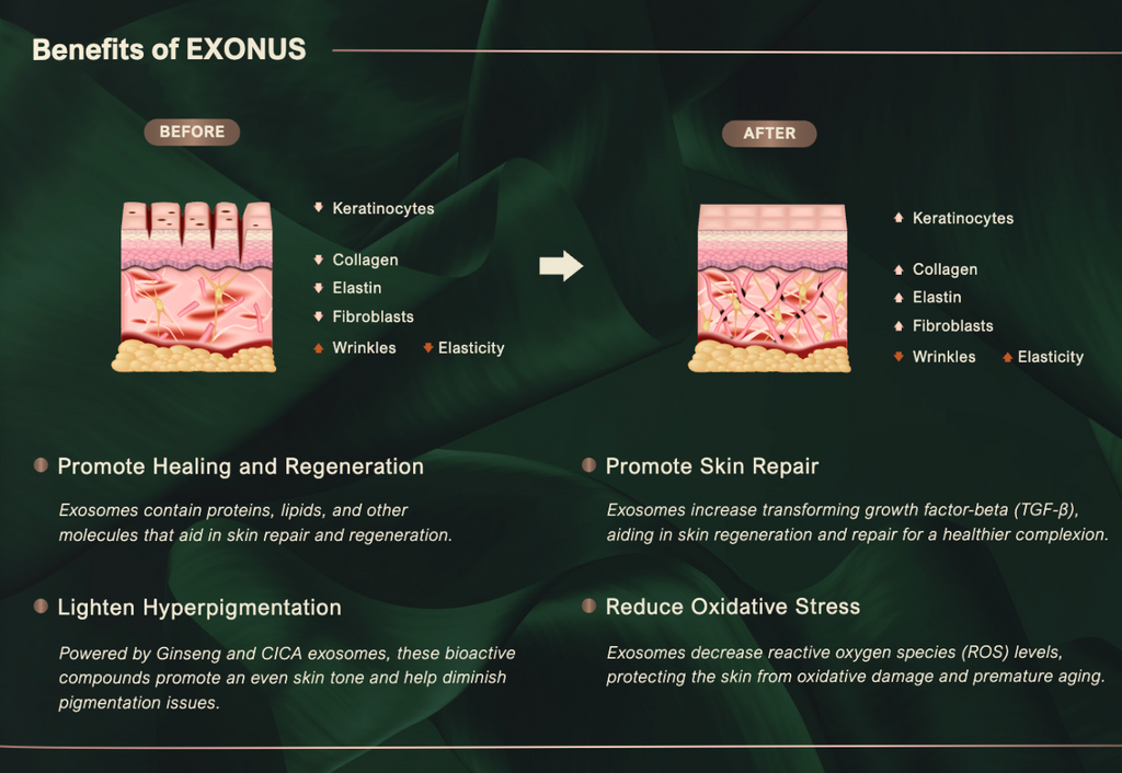 Exonus Exosomes (1 Set)